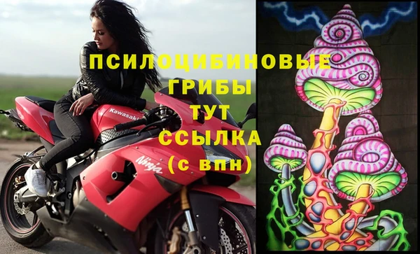 тгк Новодвинск
