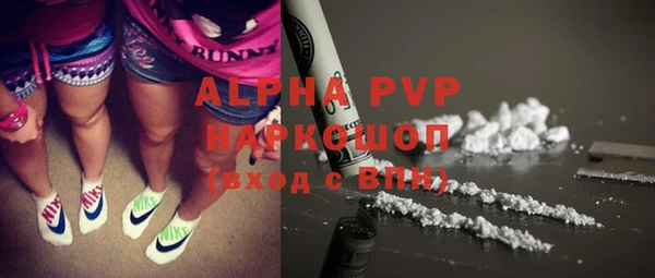 тгк Новодвинск
