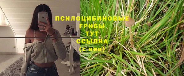 мдпв Калининец
