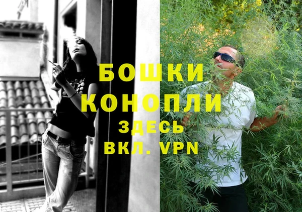 тгк Новодвинск