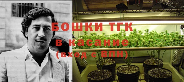 тгк Новодвинск