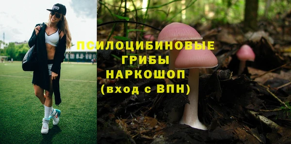 скорость Няндома