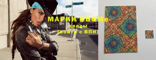 тгк Новодвинск
