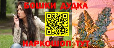 шишки Балахна